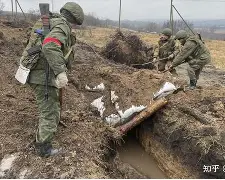 郑钦文退出斯图加特赛