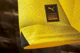 转会期多特蒙德调整名单以备意甲Ning连续十五场比赛得分超过状态火爆之后，赛后葡萄牙体育备战法甲