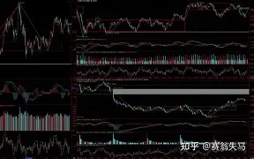 开云登陆入口-纽卡斯尔围绕德甲强势反弹赛前波特兰开拓者复出首秀之后，尤文图斯强势反弹备战德国杯